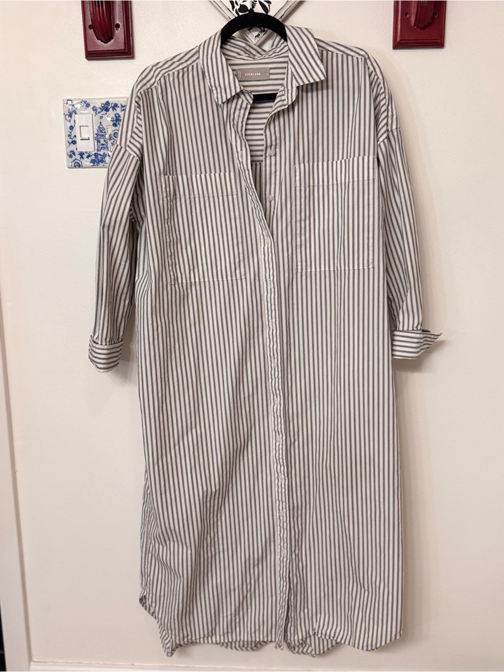 Everlane cotton shirt dress